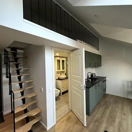 Brand-new Central Loft * Вильнюс