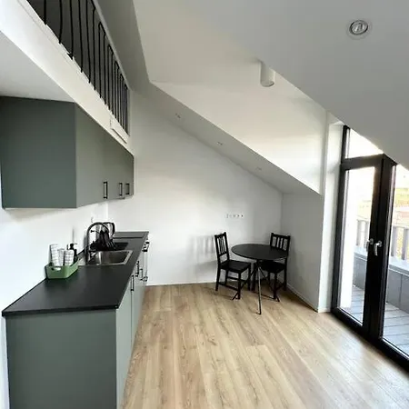 Brand-new Central Loft Апартаменты Вильнюс